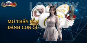 Mơ Thấy Rắn Đánh Con Gì